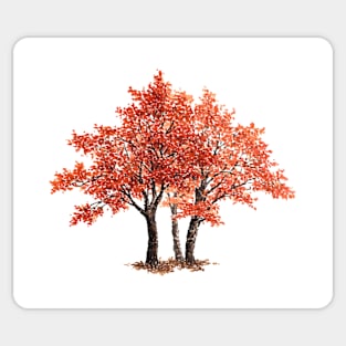 March birthday maple tree Sticker